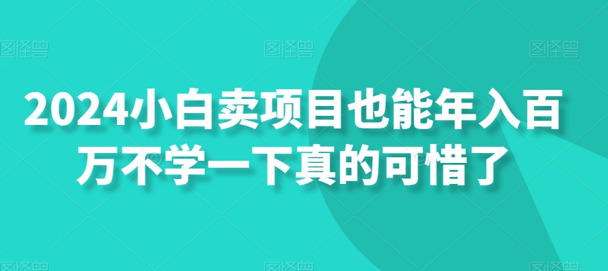 2024小白卖项目也能年入百万不学一下真的可惜了-中赚微课堂-木木源码网