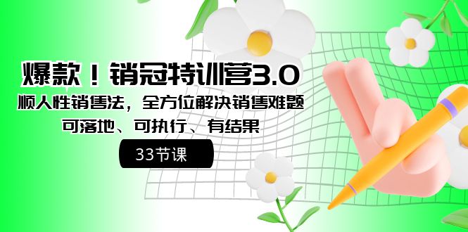 （8573期）爆款！销冠特训营3.0之顺人性销售法，全方位解决销售难题、可落地、可执…-木木源码网