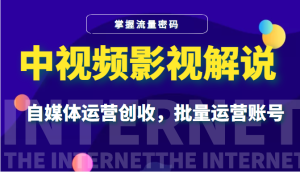 【视频课程】中视频影视解说：掌握流量密码，自媒体运营创收，批量运营账号-闲乐解说文案网-木木源码网